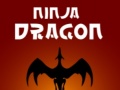 Oyun Ninja Dragon