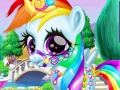 Oyun Rainbow Pony Caring