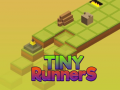 Oyun Tiny RunnerS