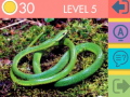 Oyun 15 Picture Quiz