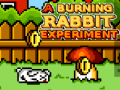 Oyun A Burning Rabbit Experiment