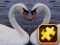 Oyun Swan Puzzle Challenge