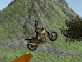 Oyun Dirt Bike Rider
