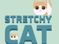 Oyun Stretchy Cat