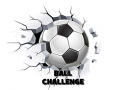 Oyun Ball Challenge