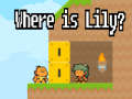 Oyun Where is Lily?