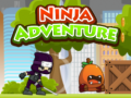 Oyun Ninja Adventure