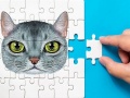 Oyun Abyssinian Puzzle Challenge