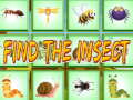 Oyun Find The Insect