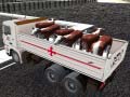 Oyun Truck Transport Domestic Animals