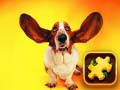 Oyun Funny Dogs Puzzle