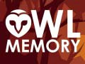 Oyun Owl Memory