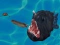Oyun Fish 3d