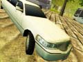 Oyun Limousine Driver