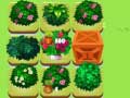 Oyun Merge Plants