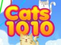 Oyun Cats 1010