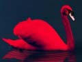 Oyun Love Birds Puzzle