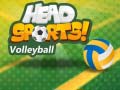 Oyun Head Sports Volleyball