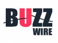 Oyun Buzz Wire