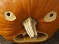 Oyun 5 in 1 Picture Puzzle: Halloween