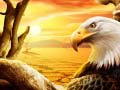 Oyun Eagle