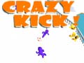 Oyun Crazy Kick!