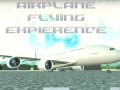 Oyun Airplane Flying Expierence