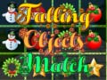 Oyun Falling Objects Match 