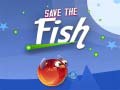 Oyun Save The Fish