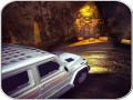 Oyun Scary Car Driving Simulator