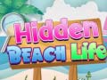 Oyun Hidden Beach Life