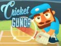 Oyun Cricket Gunda