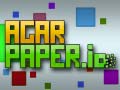 Oyun Agar Paper.io