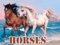 Oyun Horses