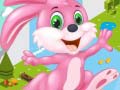 Oyun Bunny Run