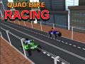 Oyun Quad Bike Racing