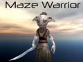 Oyun Maze Warrior