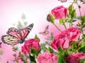 Oyun Butterflies Puzzle