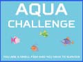 Oyun Aqua Challenge