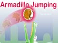Oyun Armadillo Jumping