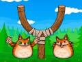 Oyun Shot The Angry Cat