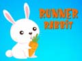 Oyun Runner Rabbit