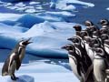 Oyun Penguins Slide