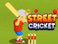 Oyun Street Cricket