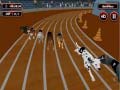 Oyun Crazyl Dog Racing Fever