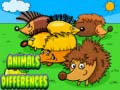 Oyun Animals Differences