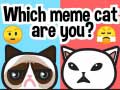 Oyun Which Meme Cat Are You?