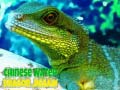 Oyun Chinese Water Dragon Jigsaw
