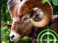 Oyun Crazy Goat Hunter 2020