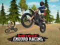 Oyun Dirt Bike Enduro Racing